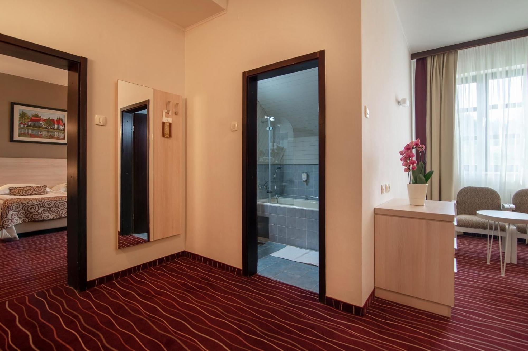 Hotel Zagreb - Health & Beauty Rogaška Slatina Rum bild